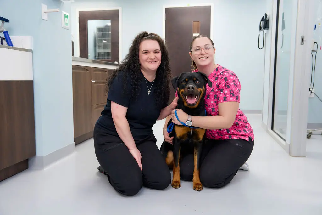 Veterinary staff poses with a rottweiler at Magruder Tabb Animal Clinic.