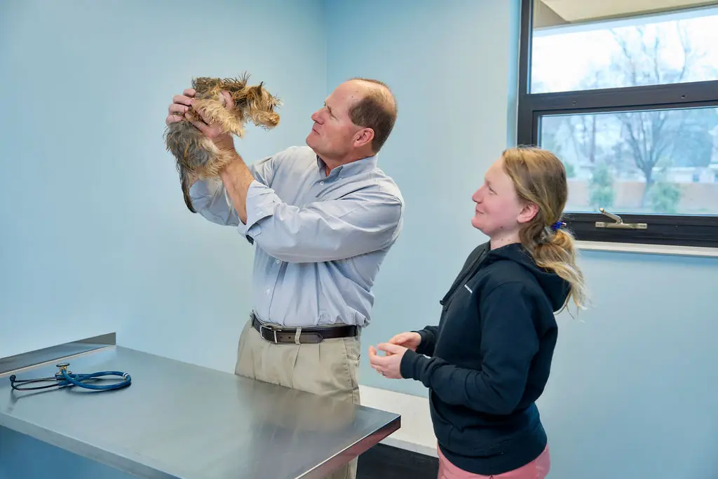 Dr. Wallace holds a yorkie up to eye level during a veterinary examat Magruder Tabb Animal Clinic.